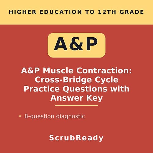 scrubready-nursing-a-p-i-cross-bridge-cycle-and-sliding-filament-sequencing-pra.jpg A&P Muscle Contraction Cross-Bridge Cycle Practice Questions with Answer Key for higher education students.