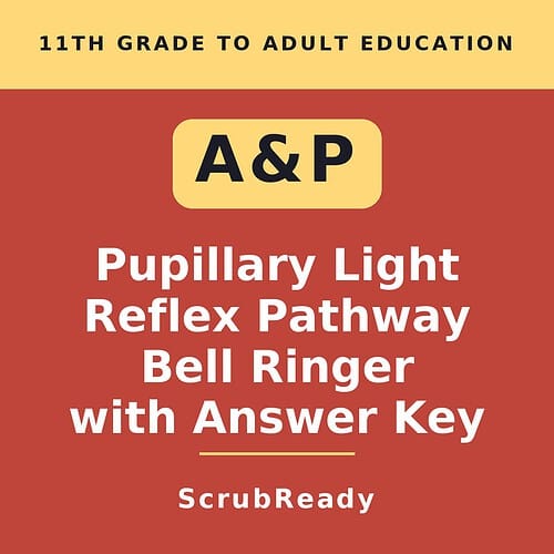 Educational resource cover for 11th grade to adult, featuring A&P, pupillary light reflex pathway, bell ringer, with answer key, ScrubReady.