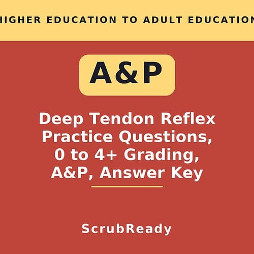 scrubready-nursing-a-p-i-reflex-testing-and-deep-tendon-reflex-grading-lab-pack.jpg Cover image for A&P Deep Tendon Reflex Practice Questions, grading from 0 to 4+, and answer key by ScrubReady.