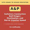 scrubready-nursing-a-p-i-saltatory-conduction-and-nerve-impulse-propagation-pra.jpg Educational poster on salatory conduction, myelination, and nerve impulse speed for 11th grade to higher education students.