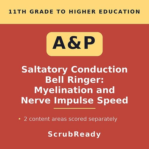 scrubready-nursing-a-p-i-saltatory-conduction-and-nerve-impulse-propagation-pra.jpg Educational poster on salatory conduction, myelination, and nerve impulse speed for 11th grade to higher education students.