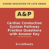 scrubready-nursing-a-p-ii-cardiac-conduction-system-pathway-sequencing-practice.jpg Cardiac conduction system pathway practice questions with answer key for higher education students.