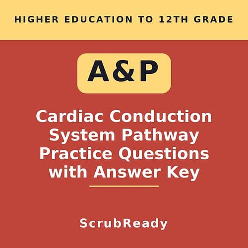 scrubready-nursing-a-p-ii-cardiac-conduction-system-pathway-sequencing-practice.jpg Cardiac conduction system pathway practice questions with answer key for higher education students.