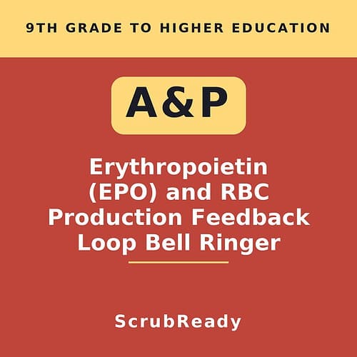 scrubready-nursing-a-p-ii-erythropoietin-epo-and-red-blood-cell-production-feed.jpg Educational resource for 9th grade on erythropoietin, RBC production, and feedback loop with a focus on homeschool learning.