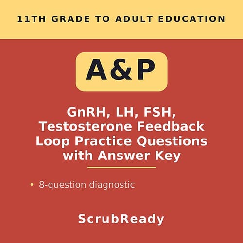scrubready-nursing-a-p-ii-male-reproductive-hormone-feedback-sequencing-practic.jpg Educational resource cover for 11th grade to adult education on GnRH, LH, FSH, testosterone feedback loop practice questions with answer key.
