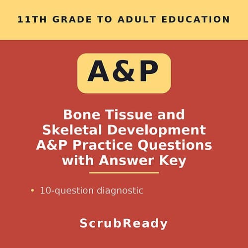 Educational resource cover for 11th grade to adult bone tissue and skeletal development practice questions with answer key.