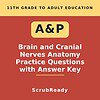 scrubready-nursing-brain-and-cranial-nerves-anatomy-and-physiology-practice-que.jpg Educational book cover titled 'Brain and Cranial Nerves Anatomy Practice Questions with Answer Key' for 11th grade to adult learners, focusing on neuroscience and neuroanatomy.