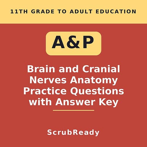scrubready-nursing-brain-and-cranial-nerves-anatomy-and-physiology-practice-que.jpg Educational book cover titled 'Brain and Cranial Nerves Anatomy Practice Questions with Answer Key' for 11th grade to adult learners, focusing on neuroscience and neuroanatomy.