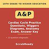 scrubready-nursing-cardiac-cycle-and-hemodynamics-exam-for-high-school-anatomy-.jpg Cover image for A&P Cardiac Cycle Practice Questions with diagrams, exam, and answer key for homeschool students.