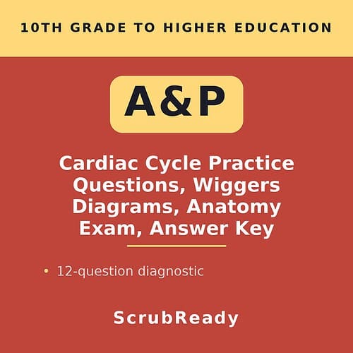 Cover image for A&P Cardiac Cycle Practice Questions with diagrams, exam, and answer key for homeschool students.