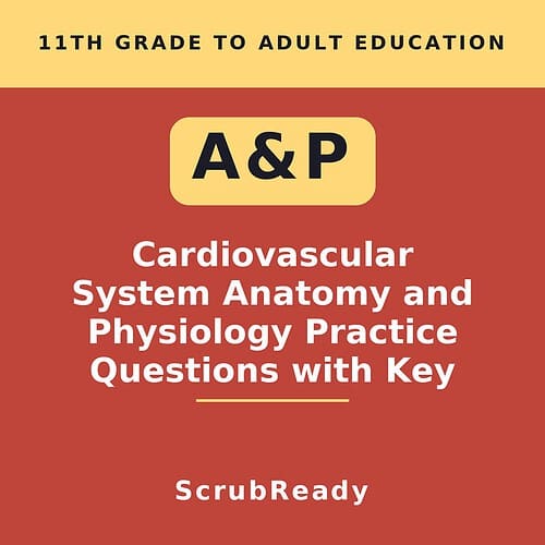 scrubready-nursing-cardiovascular-system-anatomy-and-physiology-practice-questi.jpg Cardiovascular System Anatomy and Physiology Practice Questions for 11th Grade to Adult Education, with Key, by Homeschool Resource Co.