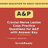 scrubready-nursing-cranial-nerve-lesion-case-scenarios-for-a-p-i-with-answer-ke.jpg Cranial Nerve Lesion Case Practice Questions for A&P with Answer Key, featuring a red and beige educational design.