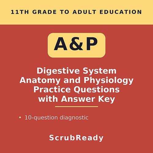 scrubready-nursing-digestive-system-anatomy-and-physiology-practice-questions-w.jpg Educational resource cover for 11th grade to adult digestive system anatomy and physiology practice questions with answer key.