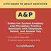 scrubready-nursing-endocrine-system-anatomy-physiology-practice-questions.jpg Educational resource cover page for 11th grade to adult endocrine system anatomy and physiology practice questions.