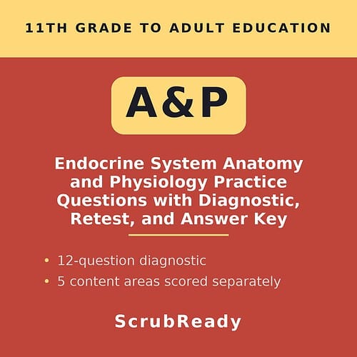 scrubready-nursing-endocrine-system-anatomy-physiology-practice-questions.jpg Educational resource cover page for 11th grade to adult endocrine system anatomy and physiology practice questions.