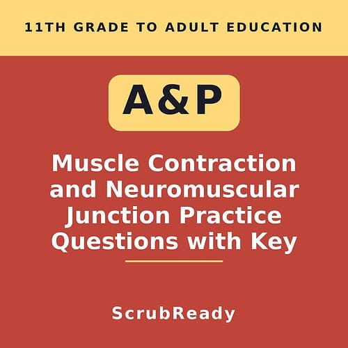 scrubready-nursing-muscle-contraction-and-the-neuromuscular-junction-anatomy-an.jpg Educational resource cover for muscle contraction and neuromuscular junction practice questions for homeschool students.