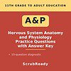 scrubready-nursing-nervous-system-anatomy-and-physiology-practice-questions-wit.jpg Cover image for Nervous System Anatomy and Physiology Practice Questions with Answer Key, featuring bold text and a red background.