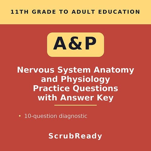 Cover image for Nervous System Anatomy and Physiology Practice Questions with Answer Key, featuring bold text and a red background.