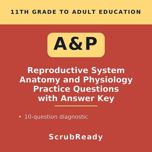 scrubready-nursing-reproductive-system-anatomy-and-physiology-practice-question.jpg Educational book cover for reproductive system anatomy and physiology practice questions with answer key, suitable for homeschool learning.