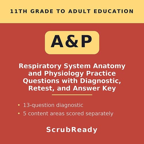 Educational resource cover for respiratory system anatomy and physiology practice questions for homeschool students.