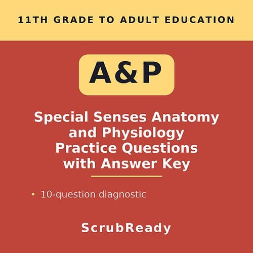 Cover image for 11th grade to adult education anatomy and physiology practice questions with answer key, featuring bold text and a red background.