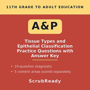 Tissue Types and Epithelial Classification Practice Questions with Answer Key