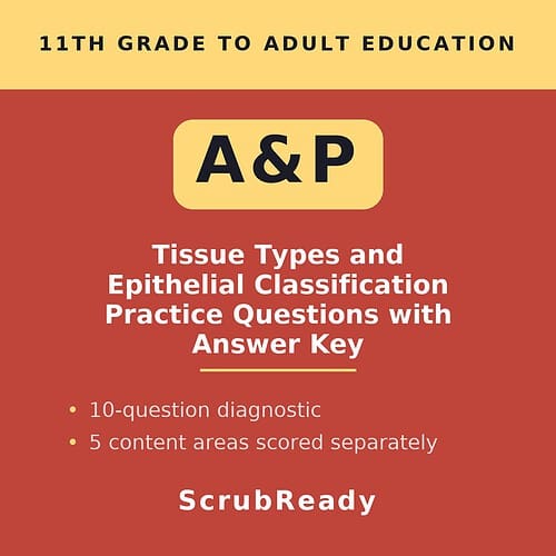 scrubready-nursing-tissues-and-epithelial-classification-anatomy-and-physiology.jpg Educational resource cover page for tissue types and epithelial classification practice questions with answer key, suitable for homeschool and adult education.